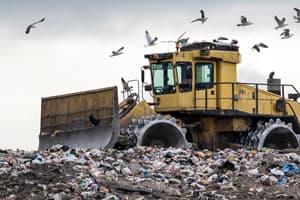 Seagulls following a bulldozer in a landfill